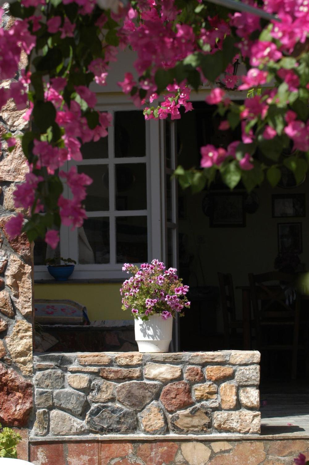Myrties Boutique Apartments Kültér fotó